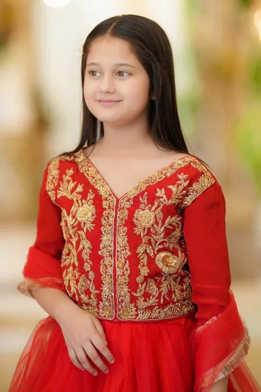 Picture of Fairy Queen - 3 Piece - Anarkali - Available at Raja Sahib