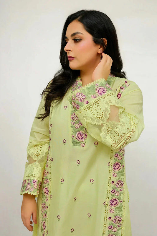 Picture of Zyna - Solid Essentials - 08 Siena - Unstitched - Available at Raja Sahib