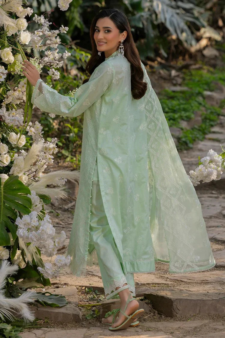 Picture of Muscari - Premium Chikankari Collection - MPS-66 - Unstitched - Available at Raja Sahib