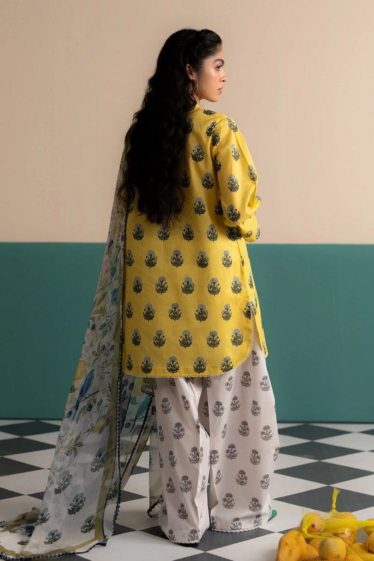 Picture of Zara Shahjahan - Coco Prints Vol 3 - ZOFI-4A - Unstitched - Available at Raja Sahib