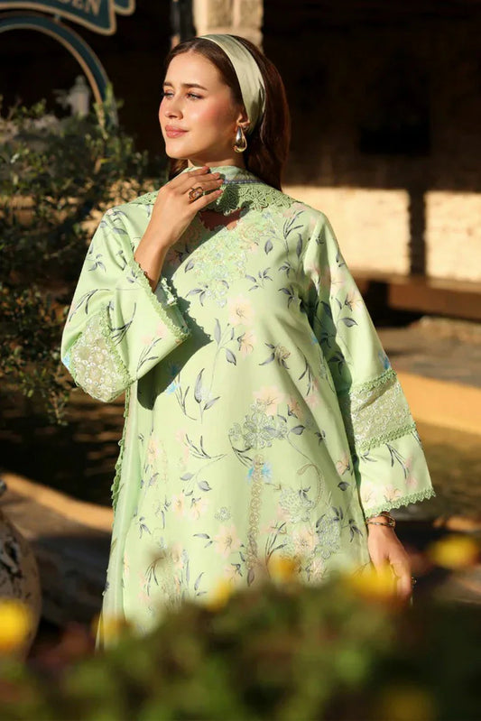 Ayleen - Naksh Collection - 03-Ronaq - Unstitched