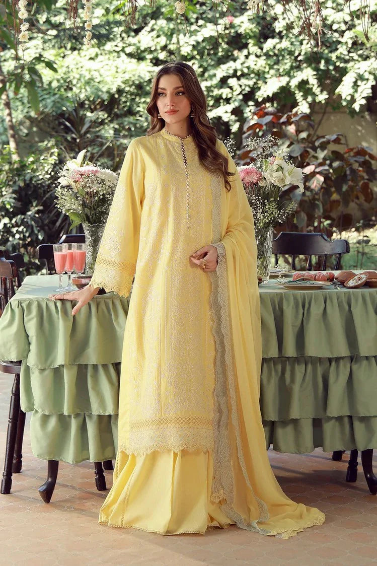 Festive Chikankari Edit