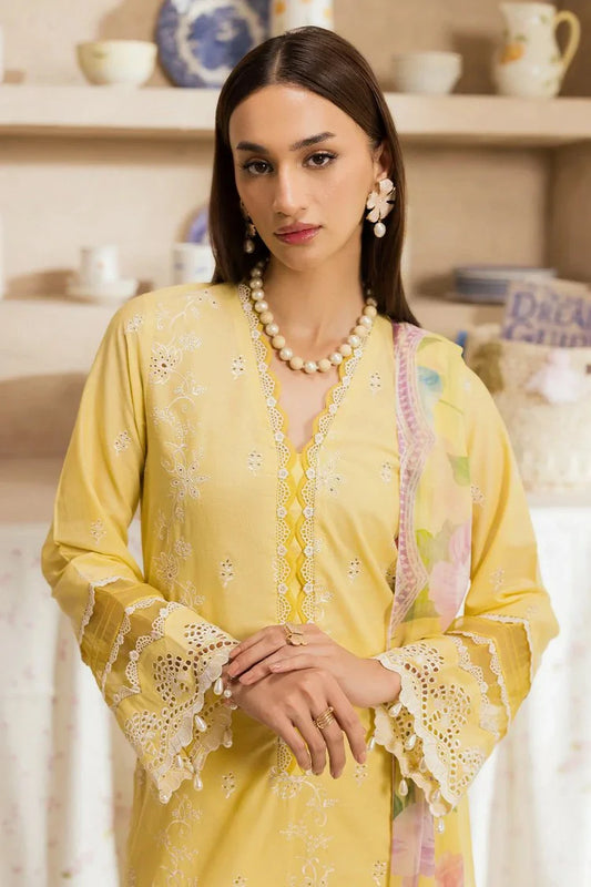 Picture of Rajbari - Nissa Chikankari Exclusive - Design 03 - Unstitched - Available at Raja Sahib