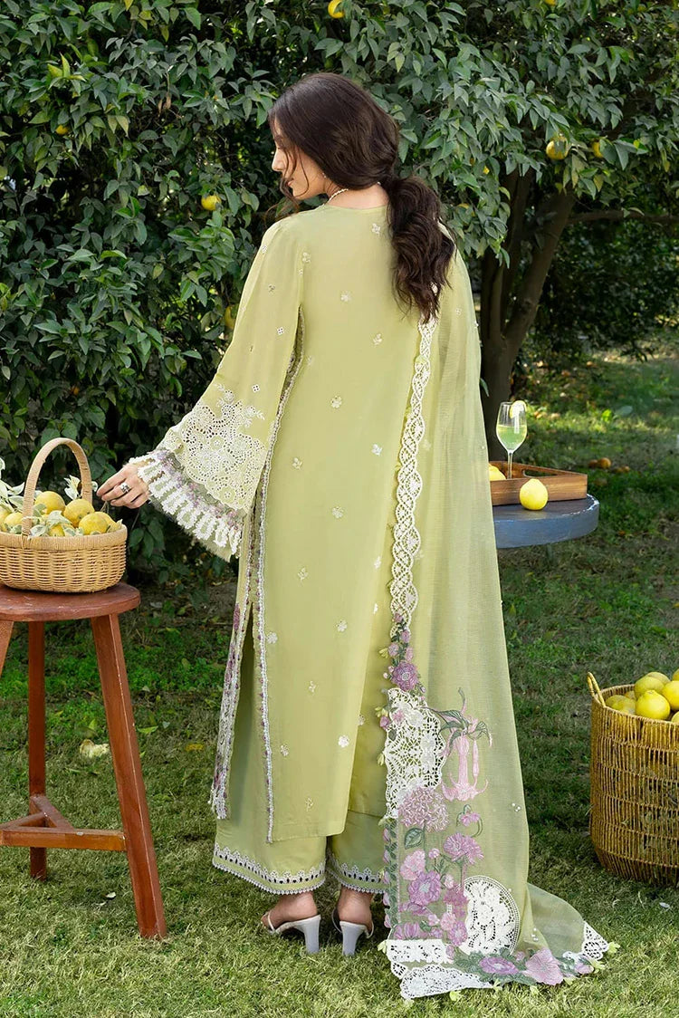 Picture of Elaf - Luxury Lawn - ELY-08 PISTACHIA - Unstitched - Available at Raja Sahib