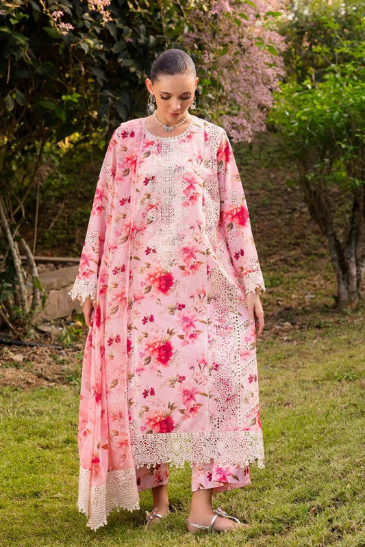 Muscari - Chikankari Collection Vol 2 - MCV-40 - Unstitched