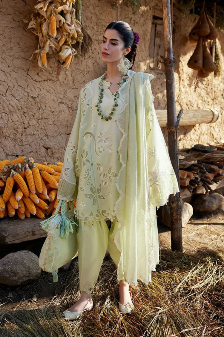 Picture of Zaha - Meili Festive Lawn - TÁO RÓU ?? (ZL26-14 B) - Unstitched - Available at Raja Sahib