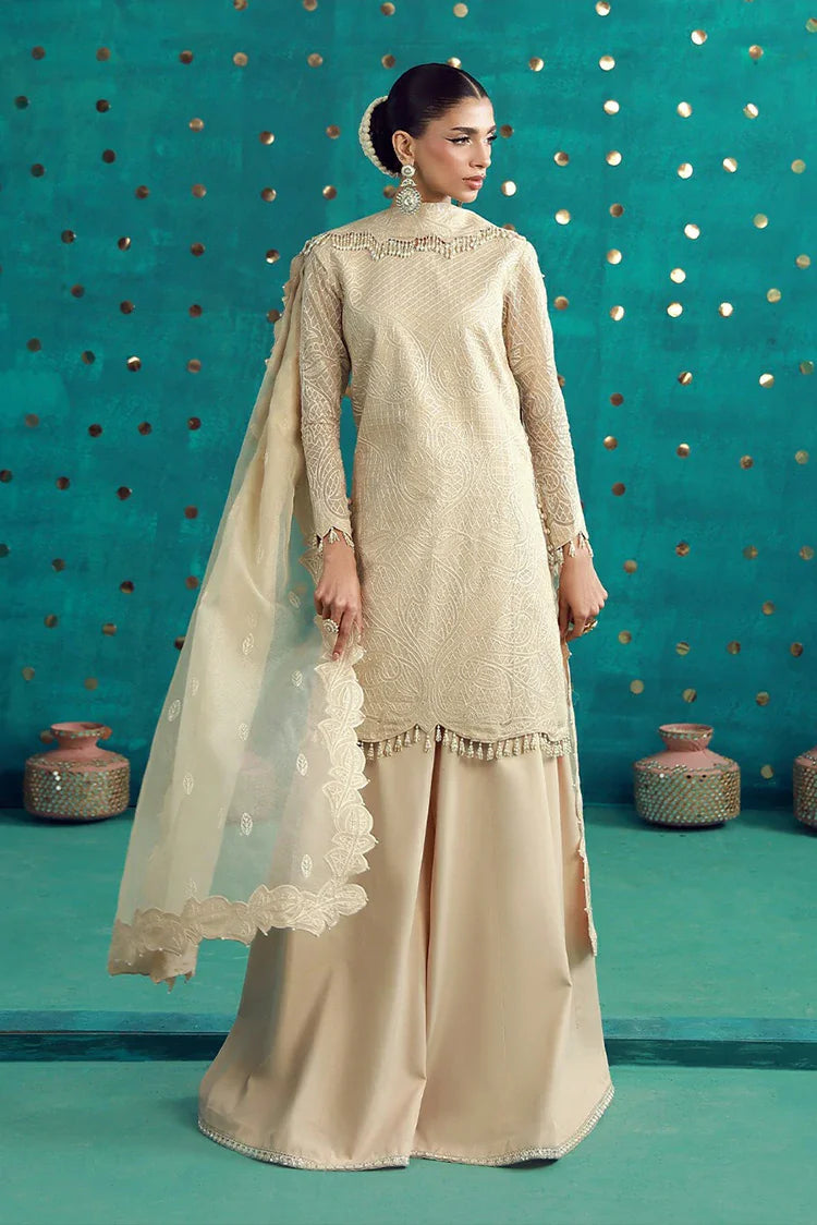 Asim Jofa - Luxury Festive - AJULFB-02 Embroidered Javeria Net 3 Pcs - Unstitched