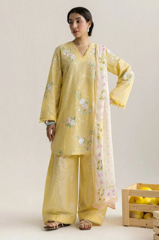 Picture of Zara Shahjahan - Coco Lawn Edit II - AIRI-1B - Unstitched - Available at Raja Sahib