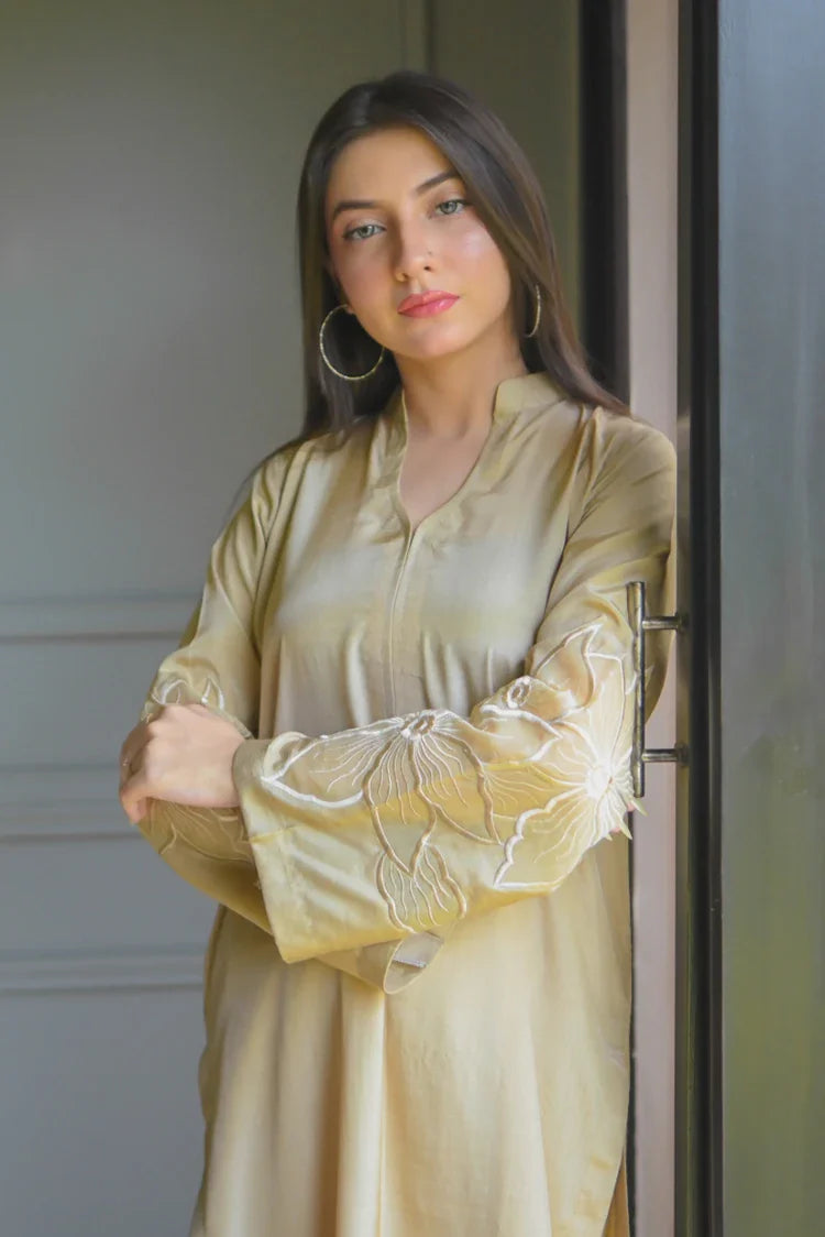 Picture of Zauk - Embroidered Luxe Pret - 2 Piece - Stardust - Available at Raja Sahib