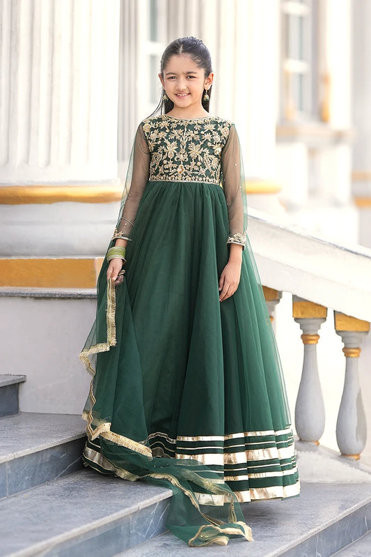 Fairy Queen - Bano Wedding Collection - 2 Piece - Emaan