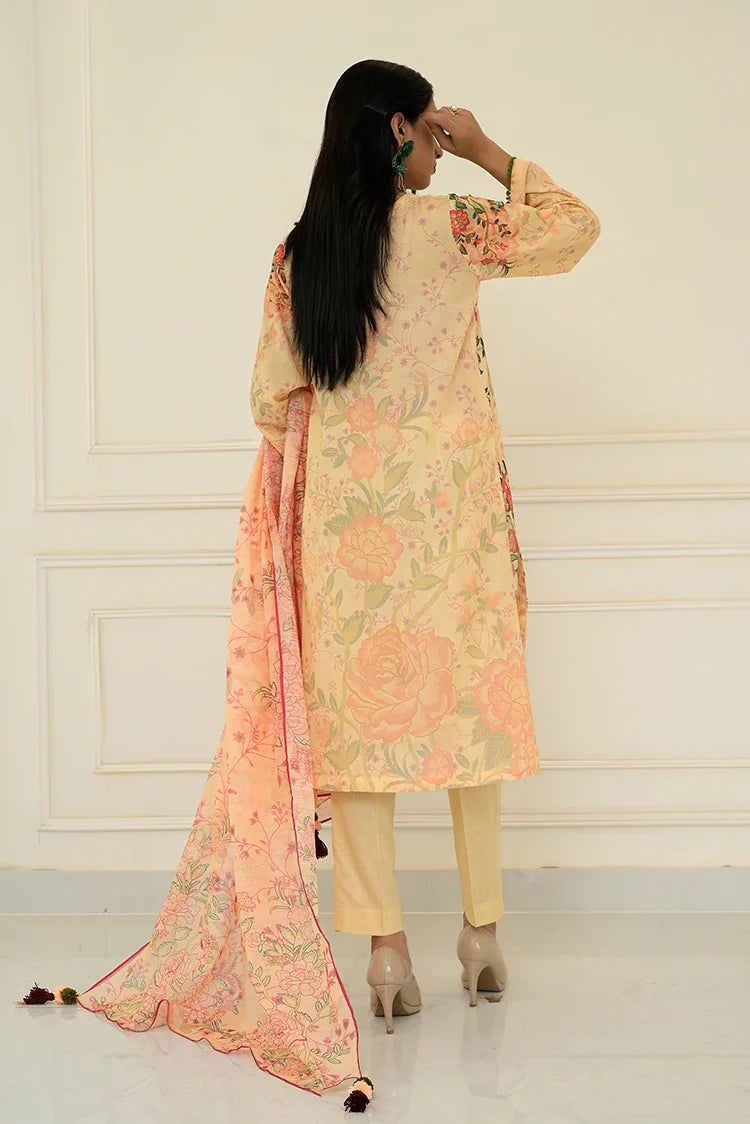 Picture of Tasneem Shamim - Fusion Waves - 2 Piece - Nooraya - Available at Raja Sahib