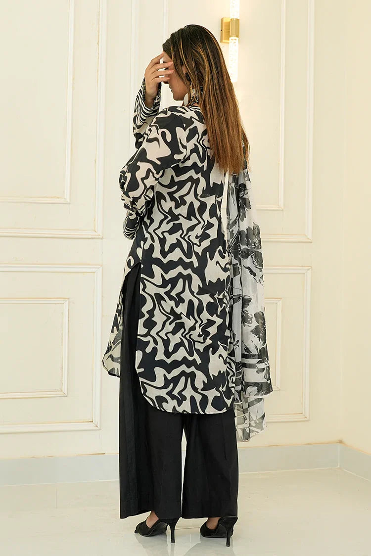 Picture of Tasneem Shamim - Fusion Waves - 2 Piece - Silaah - Available at Raja Sahib