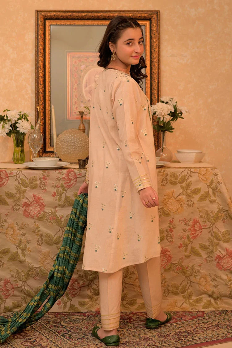 Picture of GBD-02942 | Fawn & Multicolor | Casual Plus 3 Piece Suit | Cotton Jacquard - Available at Raja Sahib