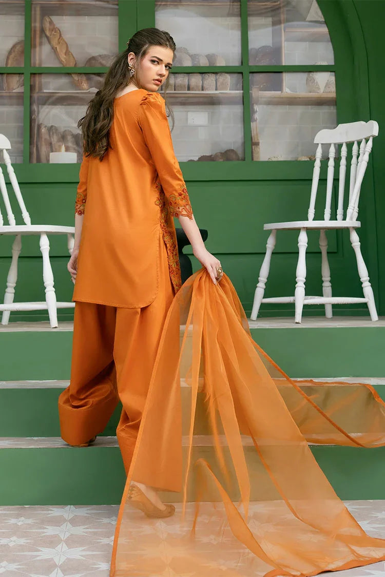 Picture of Haniumaimaz - Bahaar Pret - Zeen - Available at Raja Sahib