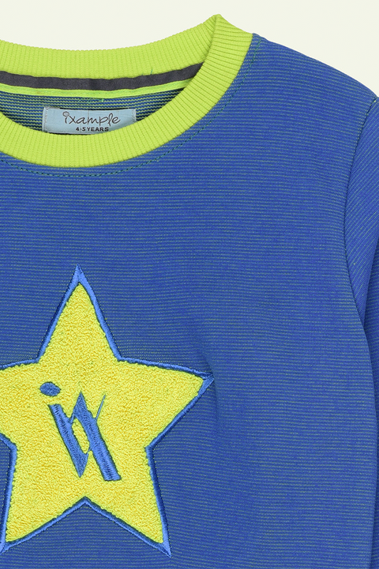 Ixample - Blue Star Embroidered Sweatshirt