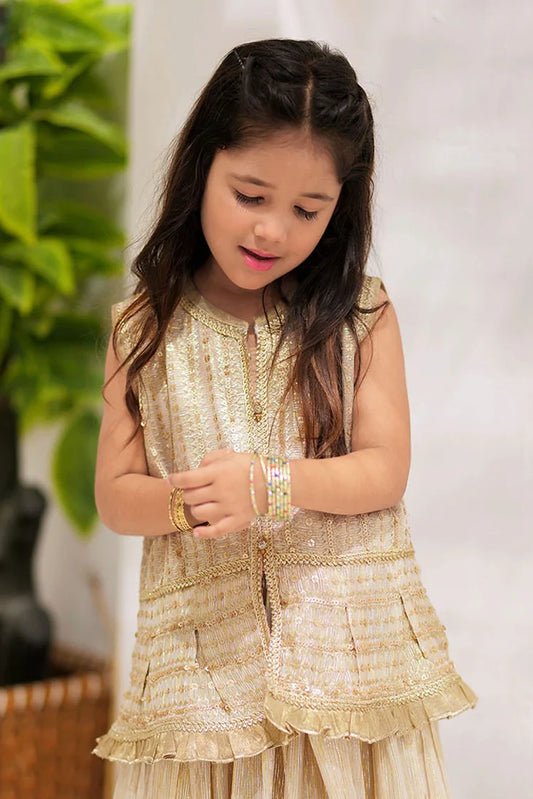 Picture of KDD-02734 | Fawn & Gold | Formal 3 Piece Suit | Banarsi Shimmer & Organza tissue - Available at Raja Sahib