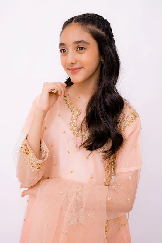 Picture of Khayat - Blush - 3 Piece - Available at Raja Sahib