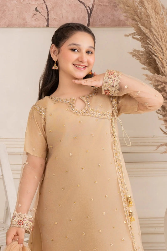 Picture of Khayat - Angrakha - 3 Piece - Available at Raja Sahib