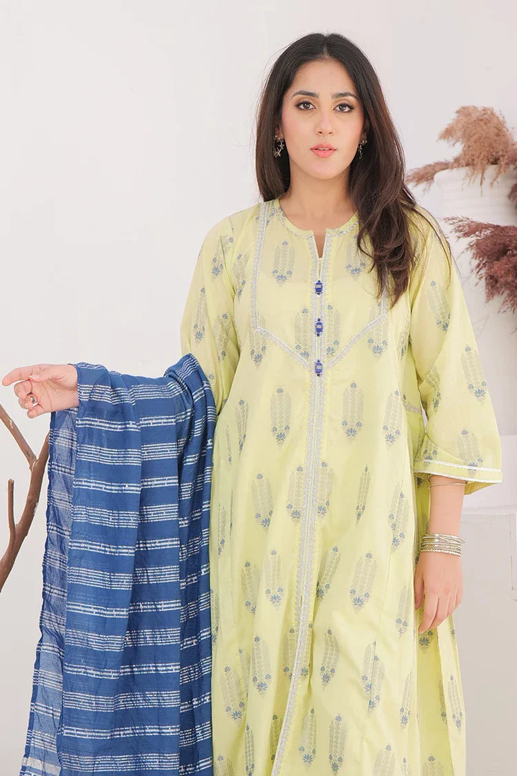 Picture of LBD-02905 | Perrot Green & Multicolor | Casual Plus 3 Piece Suit | Cotton Jacquard - Available at Raja Sahib