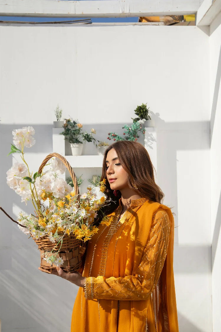 Picture of Manahils - Kurti 106 - Available at Raja Sahib