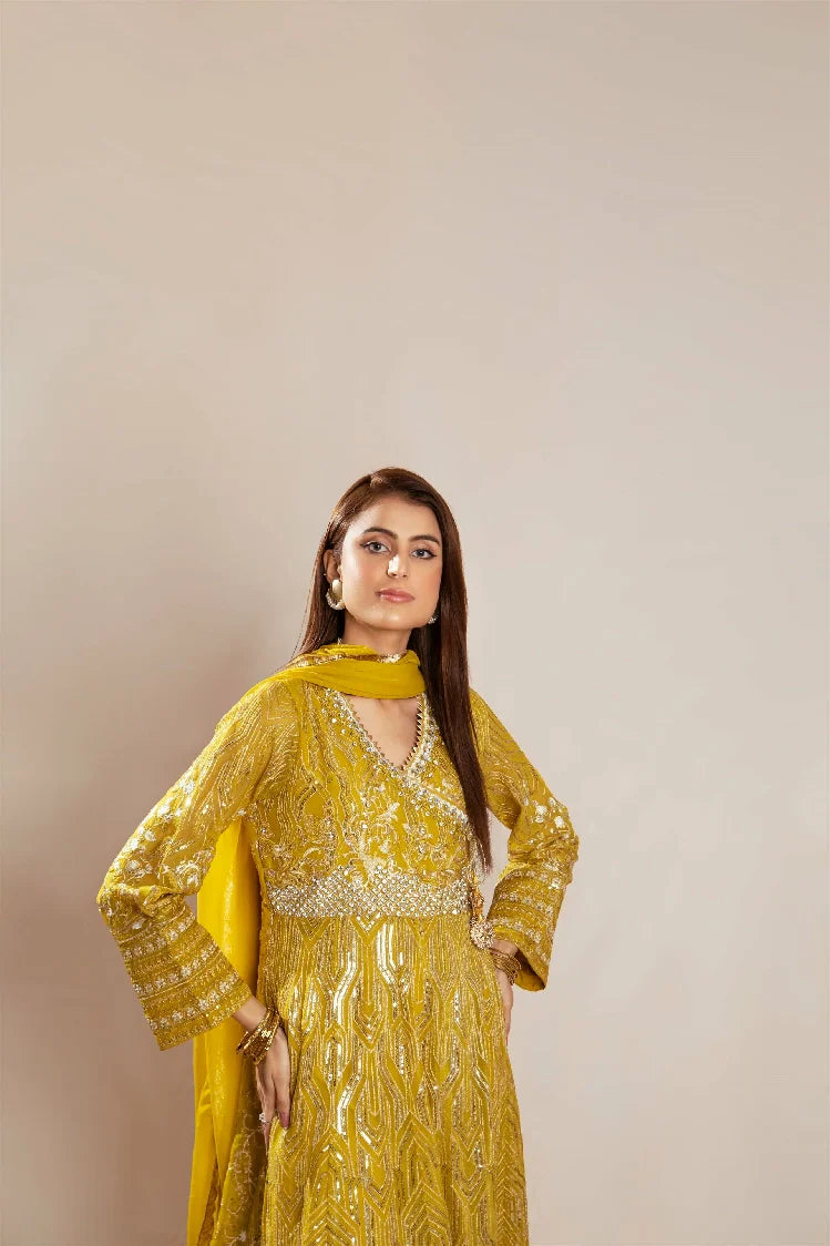 Picture of Manahils - Kurti 105 - Available at Raja Sahib