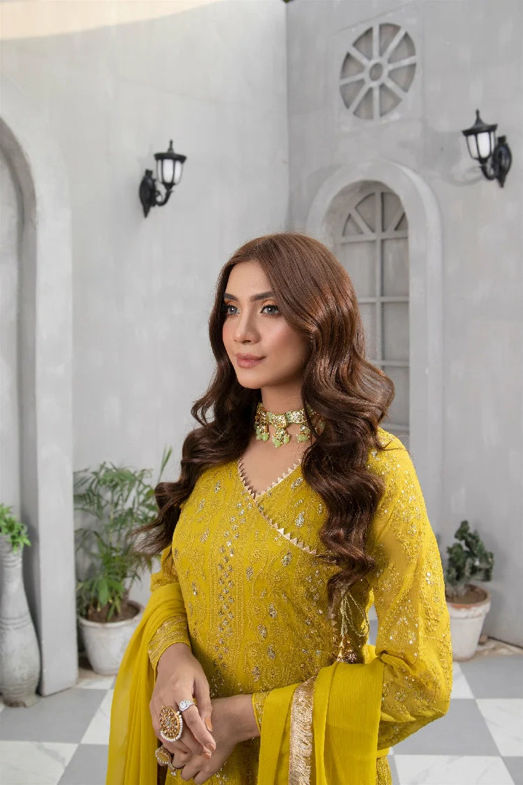 Picture of Manahils - Kurti 099 - Available at Raja Sahib