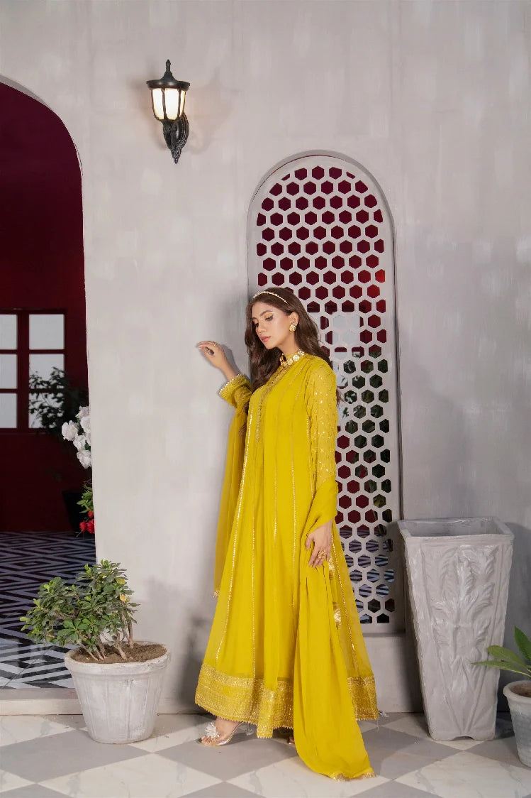 Picture of Manahils - Kurti 106 - Available at Raja Sahib