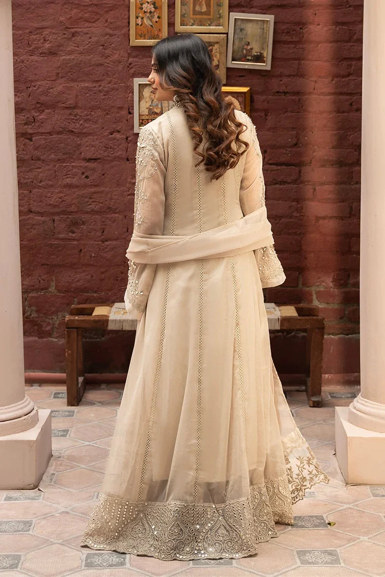 Picture of Manahils - Rang Nirala Collection - K-165-Tan Brown - Available at Raja Sahib