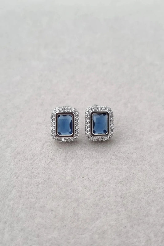 Picture of Pastels - Crystal Royal Velvet Earrings - [A]E604 - Available at Raja Sahib