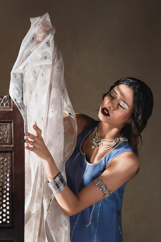 Saarya - Dilruba Festive - Raie