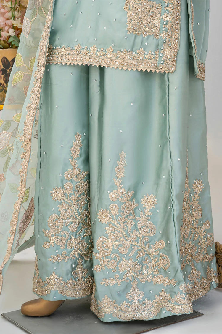 Picture of Saira Sultana - Andaaz - Haya - Ice Pista - Available at Raja Sahib