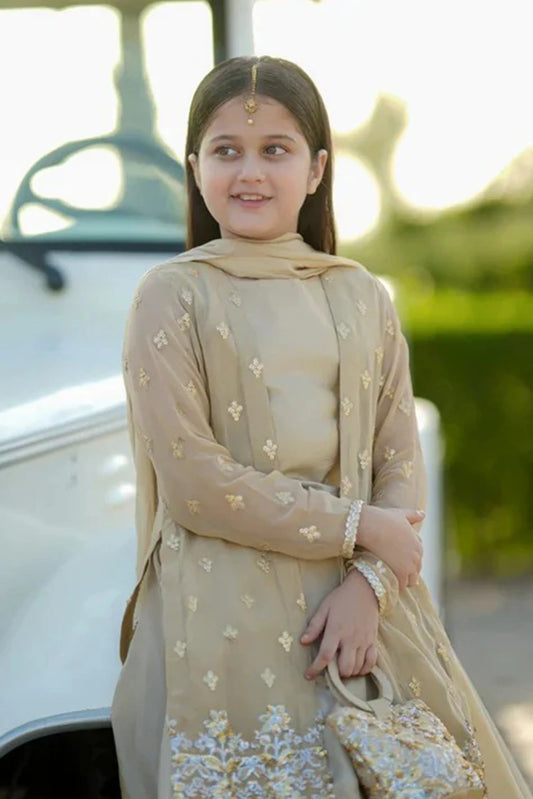 Picture of Fairy Queen - 4 Piece - Sadaf - Available at Raja Sahib