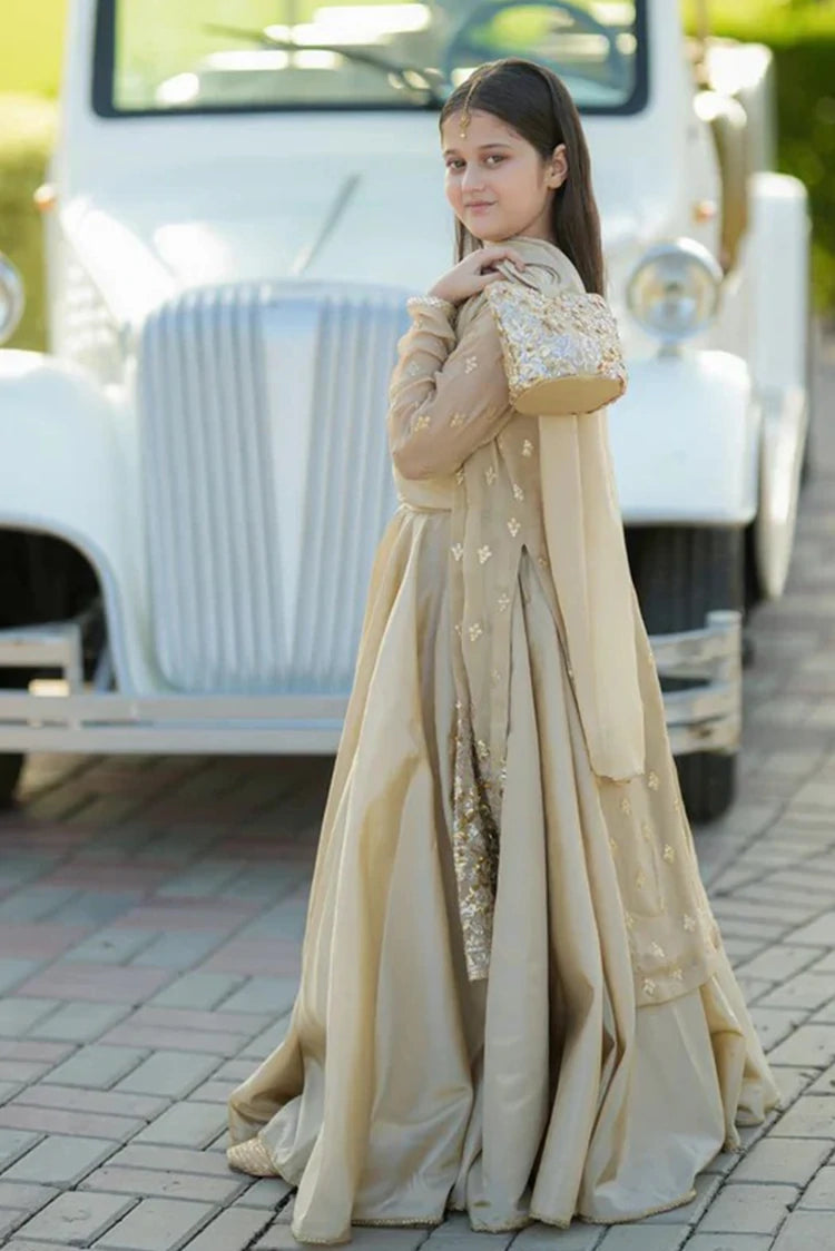 Picture of Fairy Queen - 4 Piece - Sadaf - Available at Raja Sahib