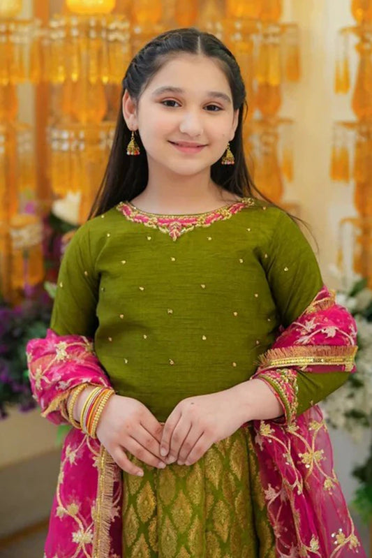 Picture of Fairy Queen - 3 Piece - Seemab - Available at Raja Sahib