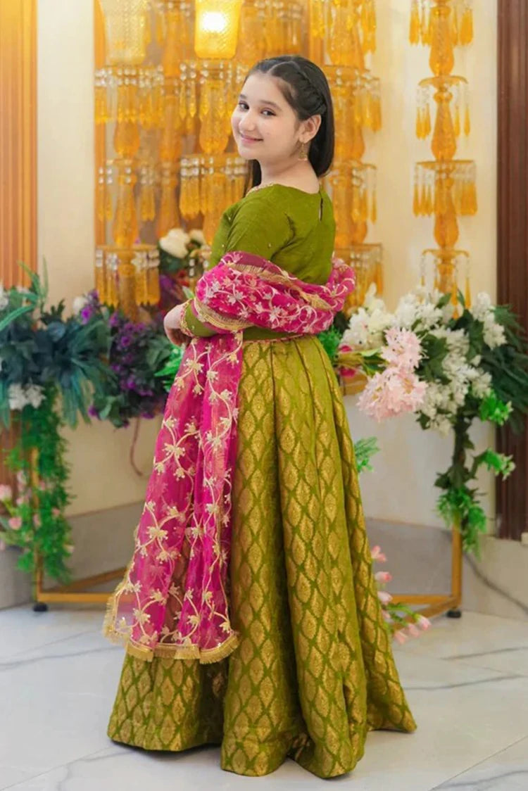 Picture of Fairy Queen - 3 Piece - Seemab - Available at Raja Sahib