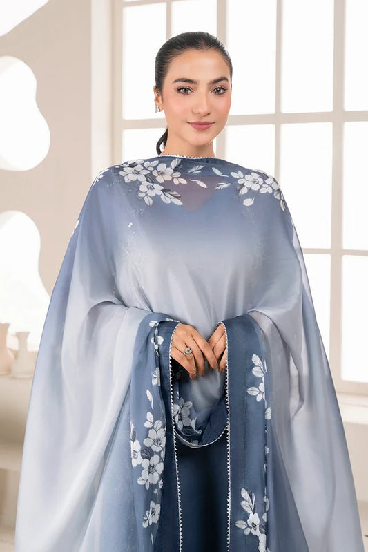 Picture of Stitch Vibes - Ravayah Eid Collection Vol 1 - Ciel Gris Dress - Available at Raja Sahib