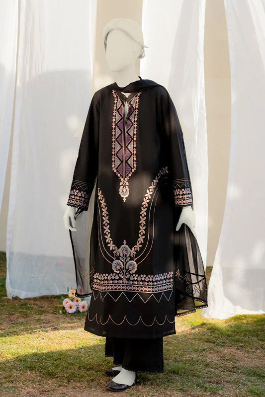 Picture of Zaira & Mahnoor - Nura - 2 PC - Available at Raja Sahib