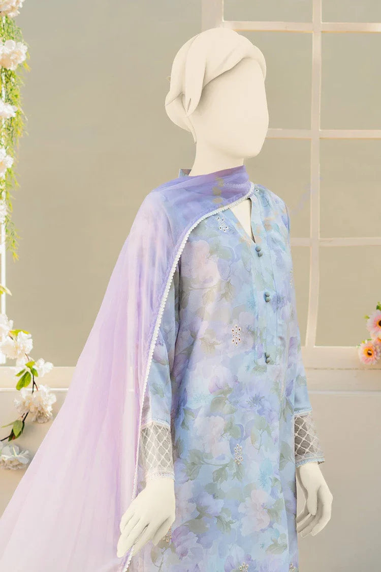 Picture of Zaira & Mahnoor - Pie - 2 PC - Available at Raja Sahib