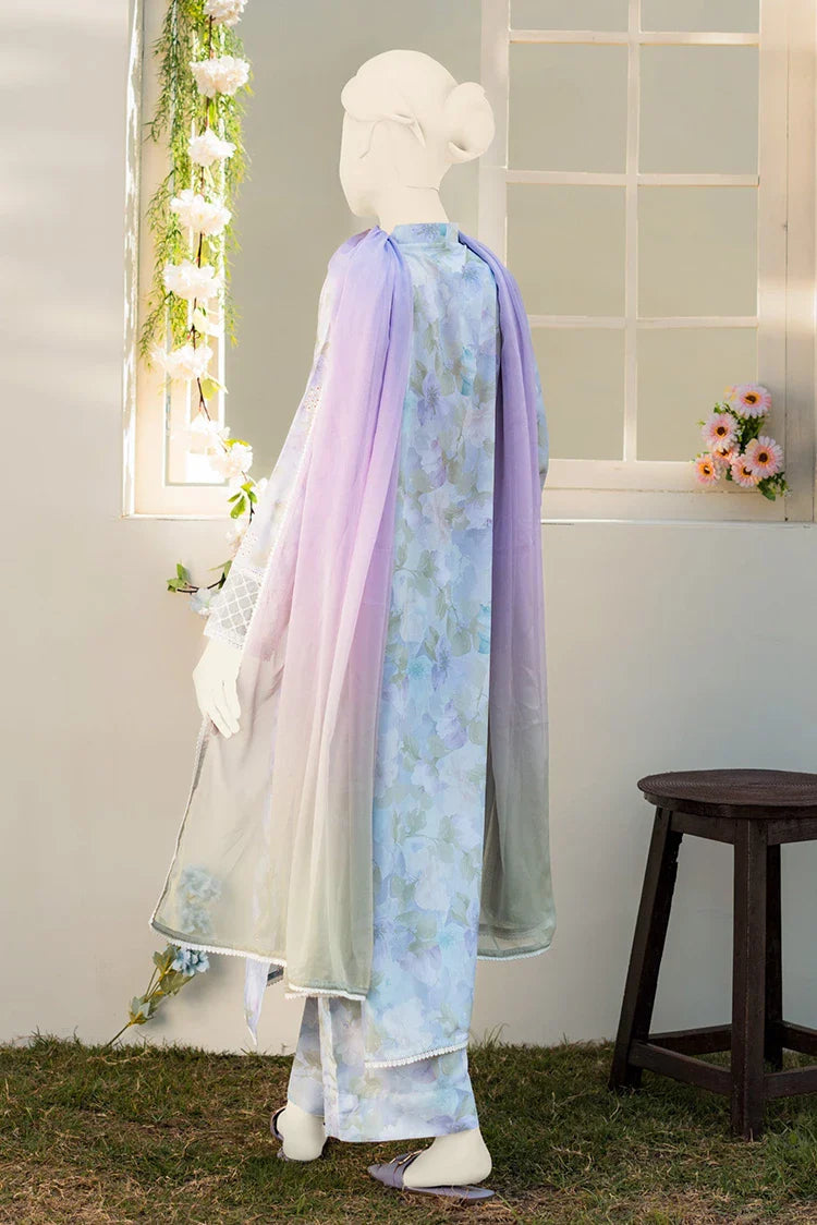 Picture of Zaira & Mahnoor - Pie - 2 PC - Available at Raja Sahib