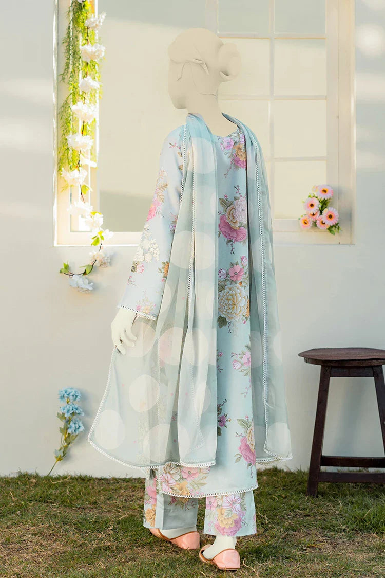 Picture of Zaira & Mahnoor - Sky - 3 PC - Available at Raja Sahib