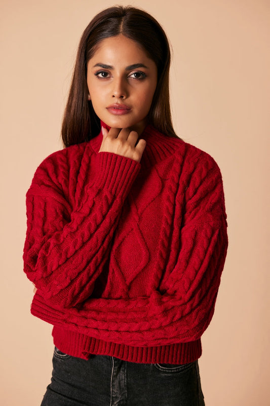 Picture of Ellena - Turtle Neck Pullover Sweater - Available at Raja Sahib