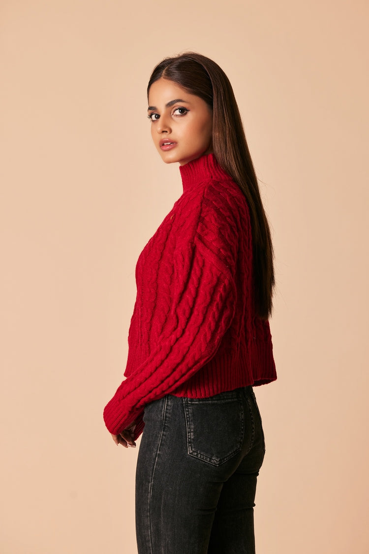 Picture of Ellena - Turtle Neck Pullover Sweater - Available at Raja Sahib