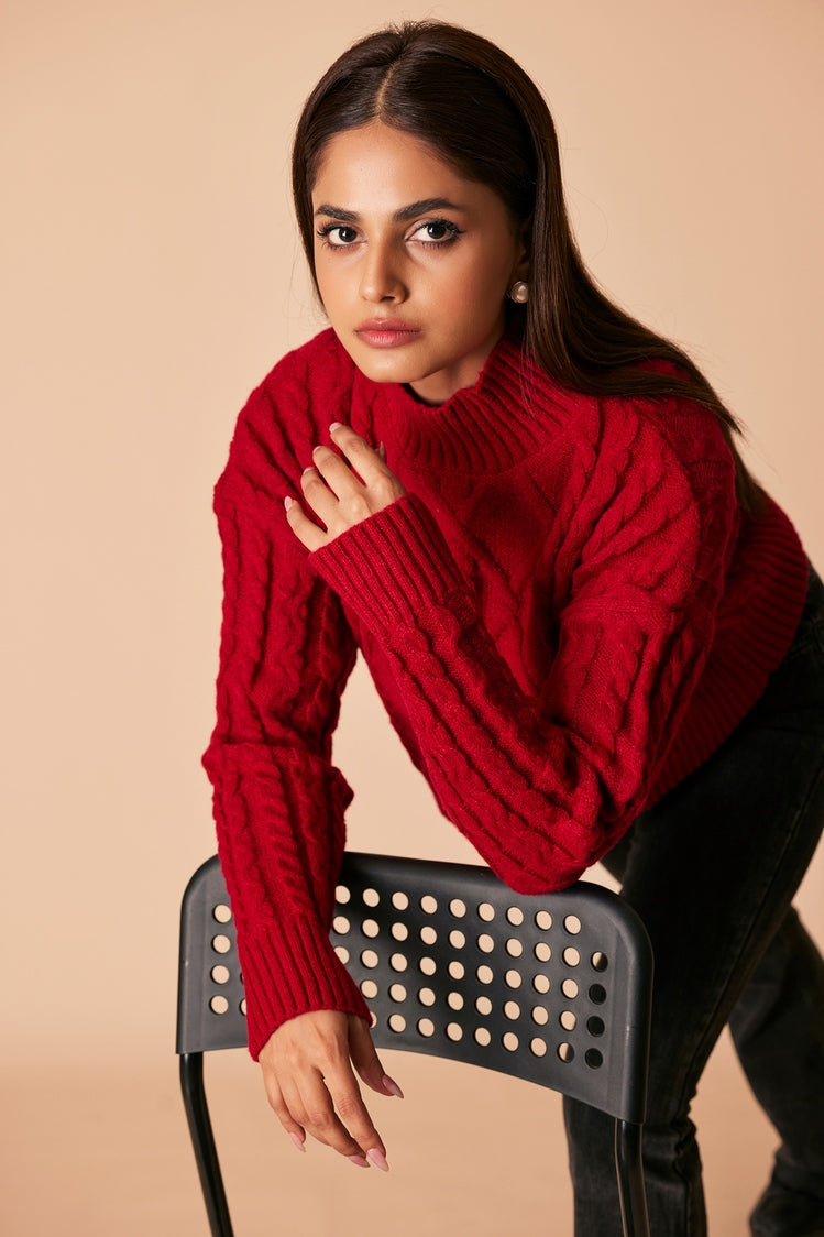 Picture of Ellena - Turtle Neck Pullover Sweater - Available at Raja Sahib