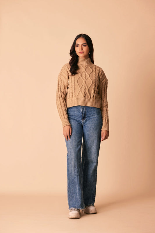 Picture of Ellena - Turtle Neck Pullover Sweater - Available at Raja Sahib