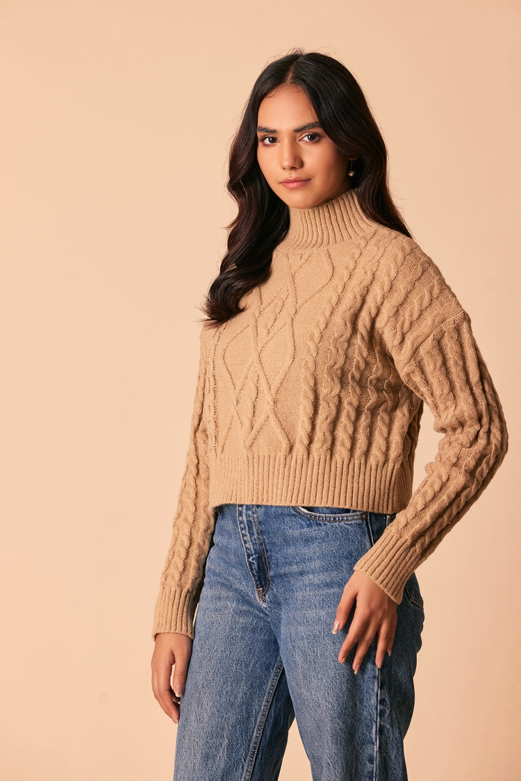 Picture of Ellena - Turtle Neck Pullover Sweater - Available at Raja Sahib
