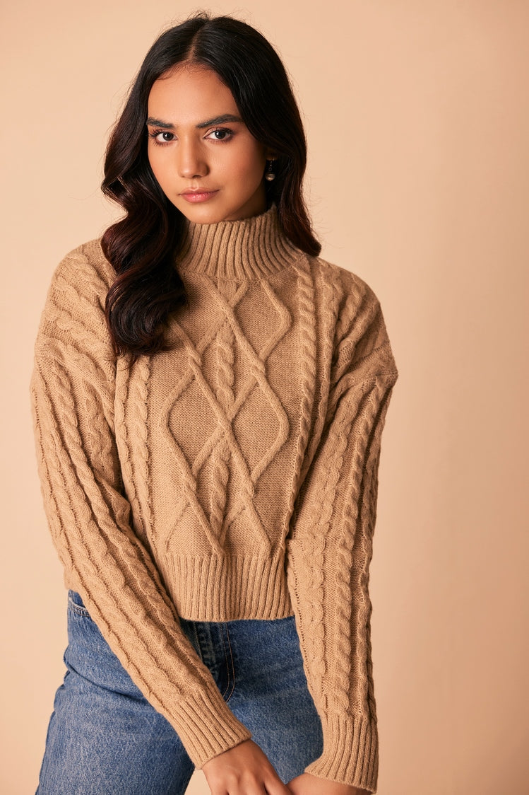 Picture of Ellena - Turtle Neck Pullover Sweater - Available at Raja Sahib
