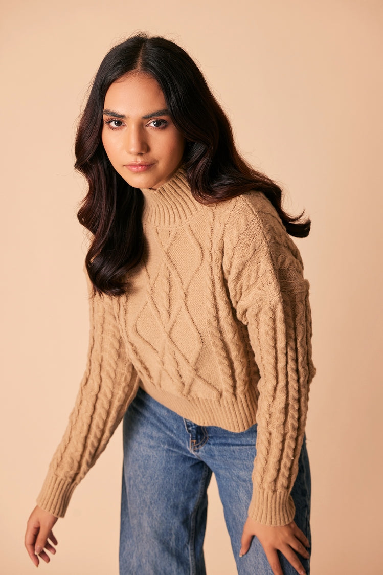 Picture of Ellena - Turtle Neck Pullover Sweater - Available at Raja Sahib