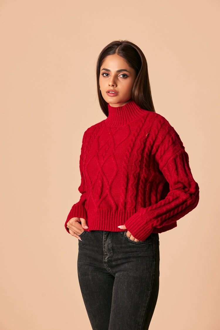 Picture of Ellena - Turtle Neck Pullover Sweater - Available at Raja Sahib