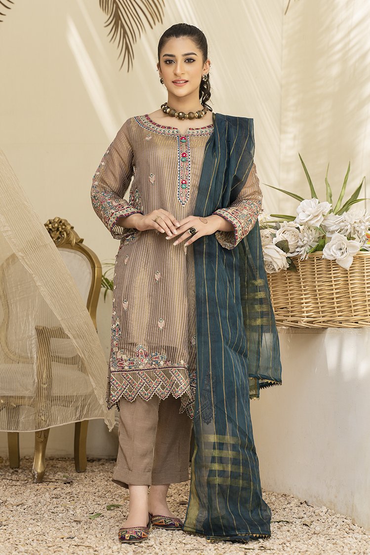 Picture of Ellena - Embroidered Organza 2-PC Suit - Available at Raja Sahib