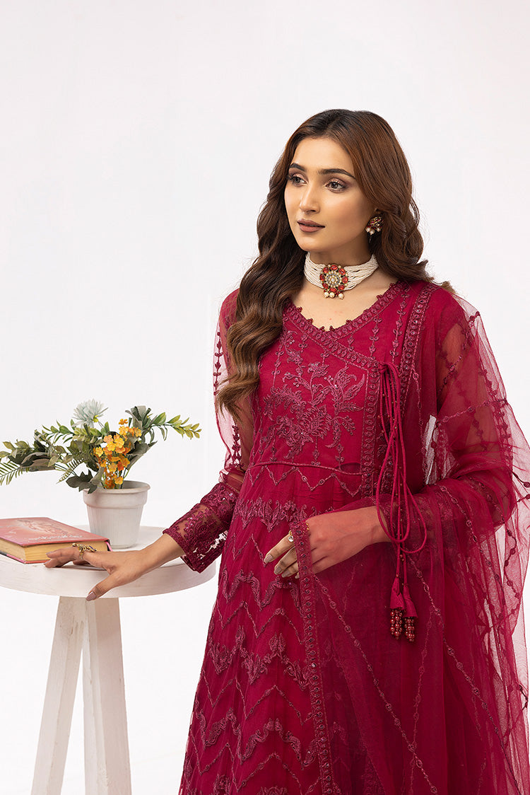 Picture of Ellena - Embroidered Net Maxi Dress - Available at Raja Sahib